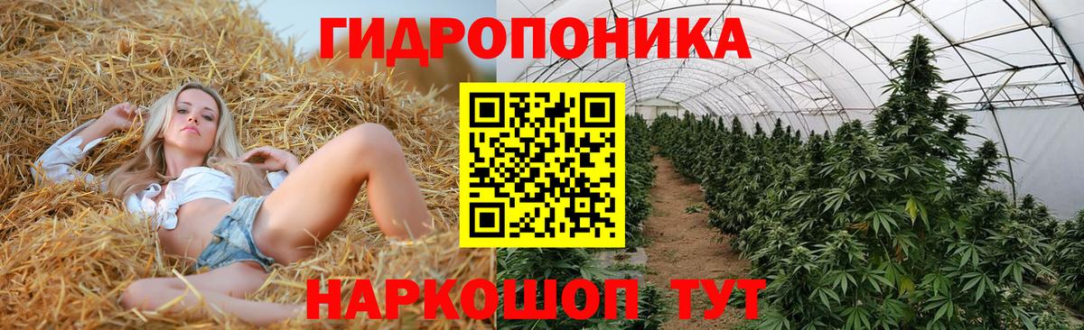 Канабис марихуана  Вход с VPN  Канабис план  Конопля SATIVA & INDICA  Самара 